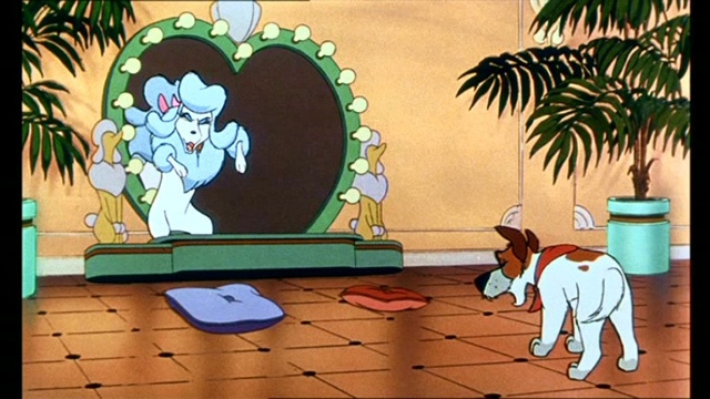 Oliver & Company