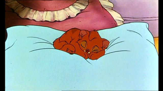 Oliver & Company