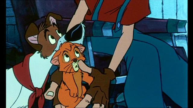 Oliver & Company