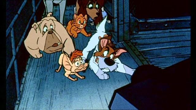 Oliver & Company