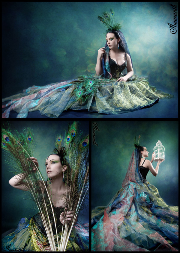 Lady Amaranth Lady Amaranth