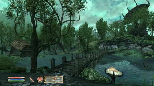 The Elder Scrolls IV: Oblivion Game of the Year Edition