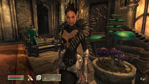 The Elder Scrolls IV: Oblivion Game of the Year Edition