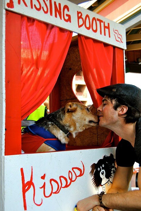 Ian Somerhalder