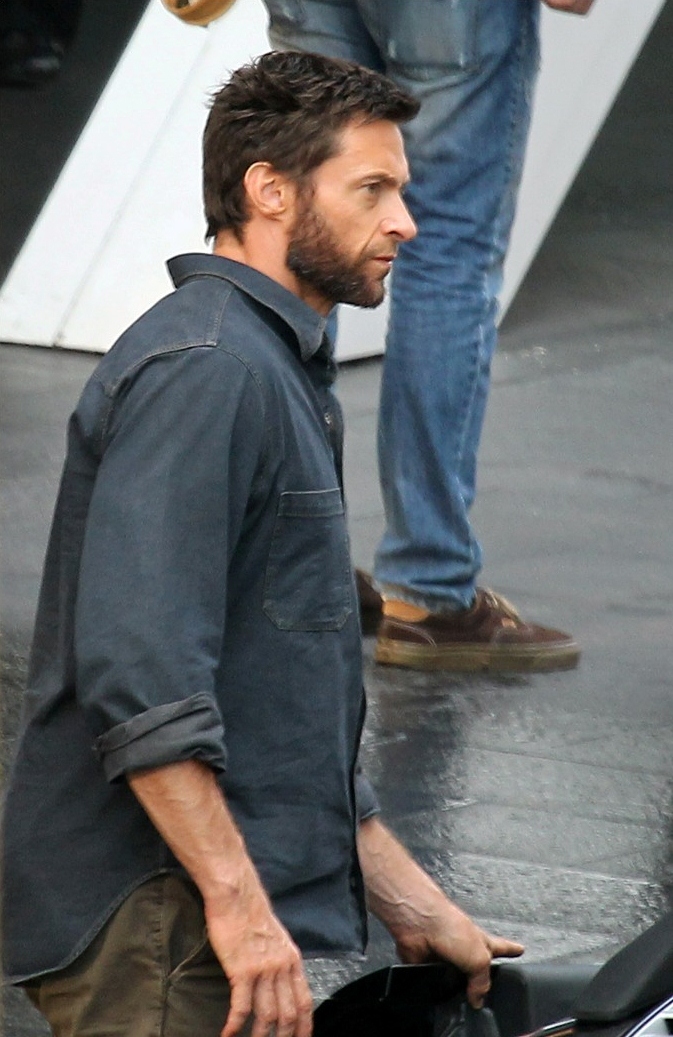 The Wolverine