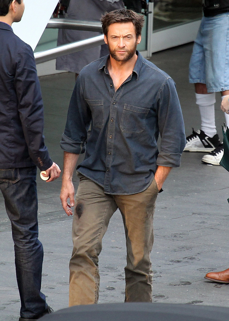 The Wolverine