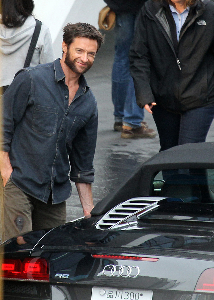 The Wolverine