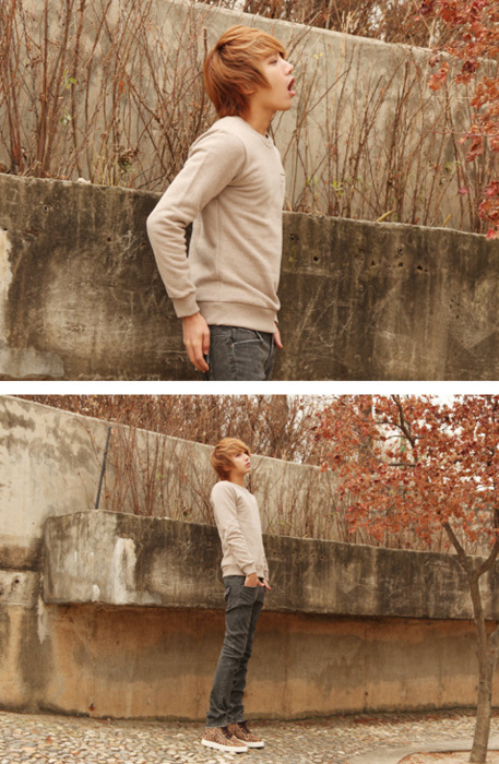 Lee Chi Hoon