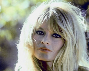 Picture of Brigitte Bardot