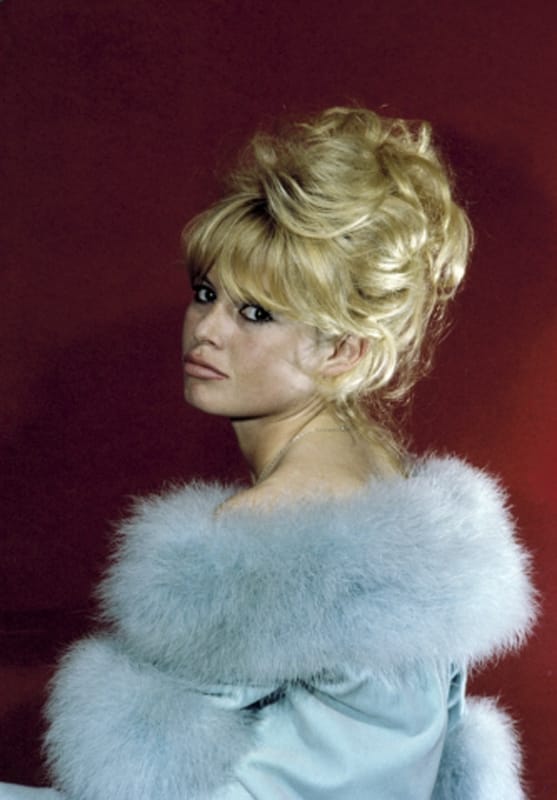 Brigitte Bardot picture