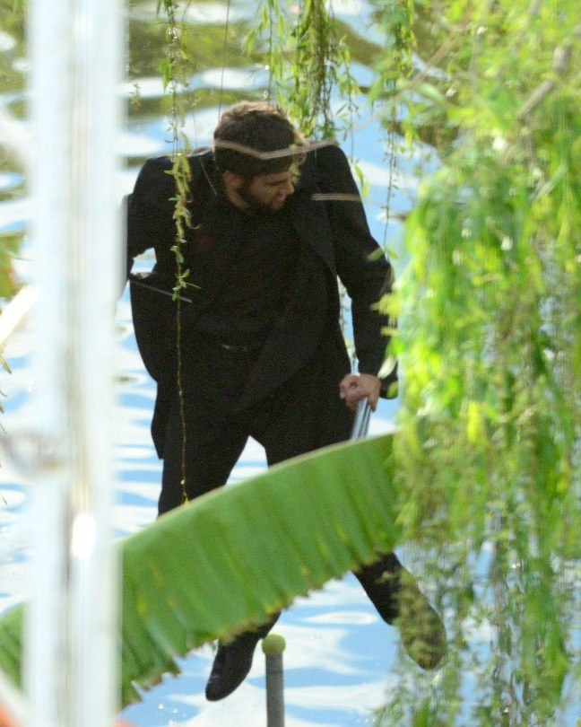 The Wolverine