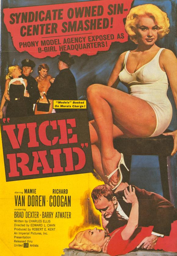 Vice Raid Vice Raid