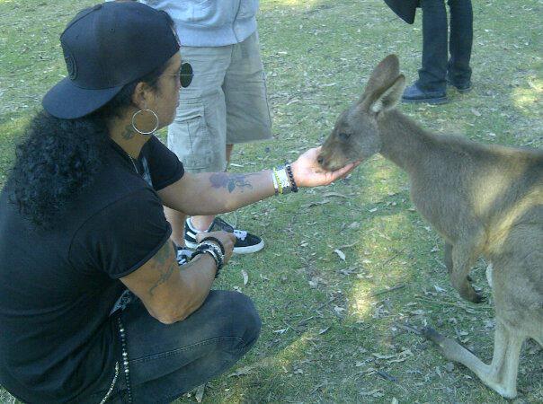Slash