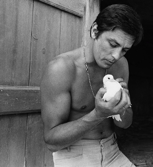 Alain Delon