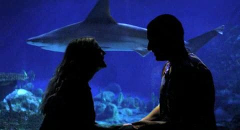 50 First Dates 50 First Dates