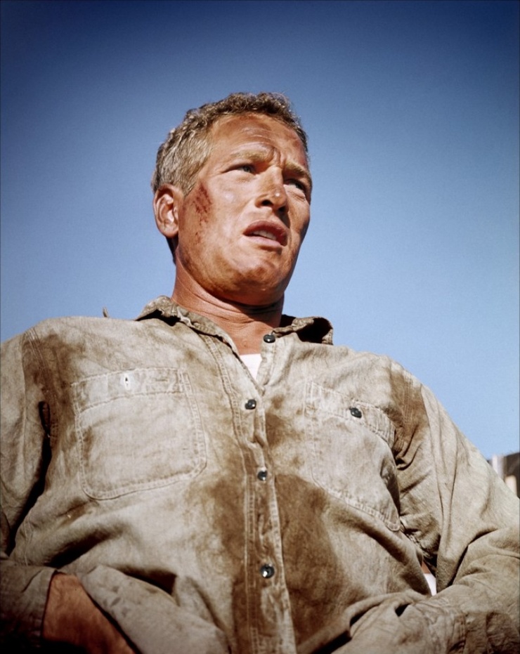 Paul Newman