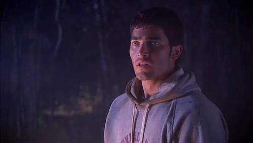 Grizzly Rage (2006) Grizzly Rage (2006)