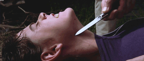 The Outsiders (1983)