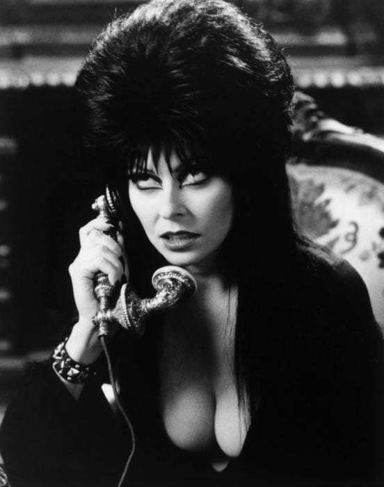 Elvira: Mistress of the Dark