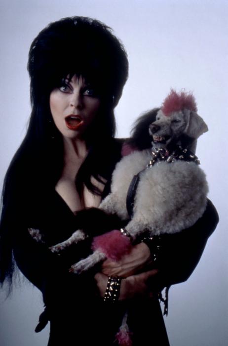 Elvira: Mistress of the Dark