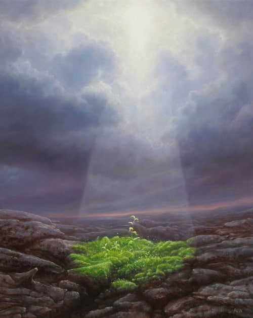 Tomasz Alen Kopera