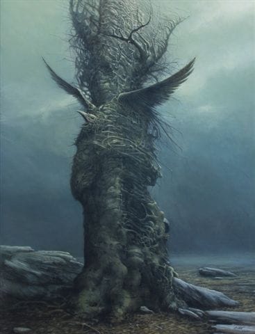 Picture of Tomasz Alen Kopera