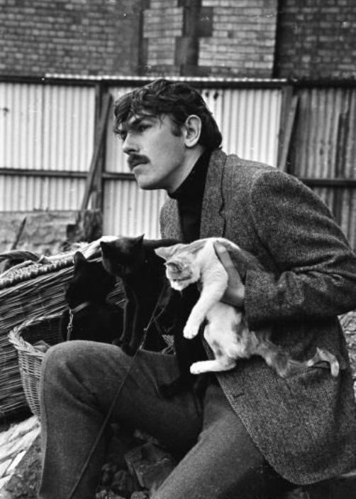 Peter Cook Peter Cook