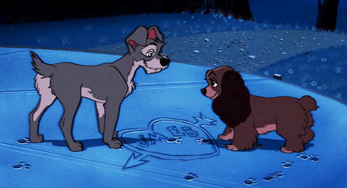 Lady and the Tramp