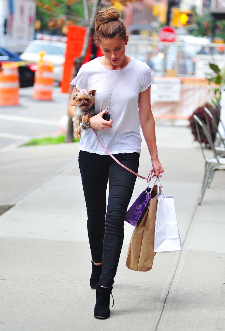 Amber Heard Amber Heard