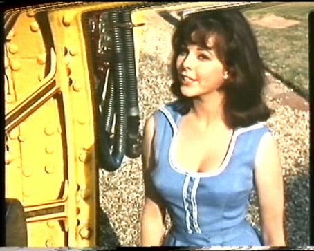 Anne Helm