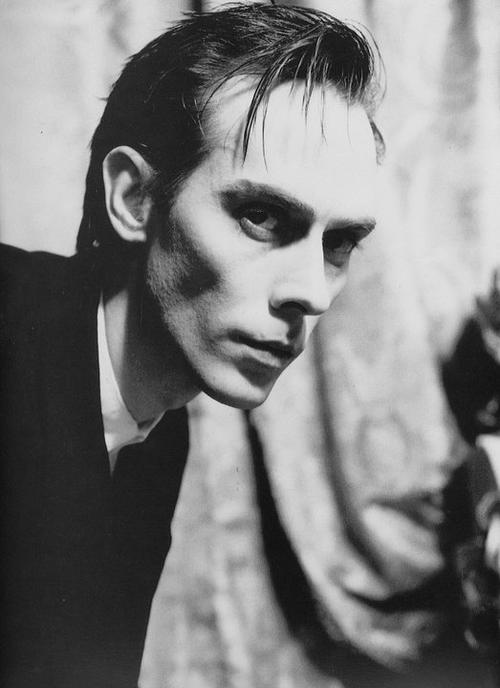 Peter Murphy