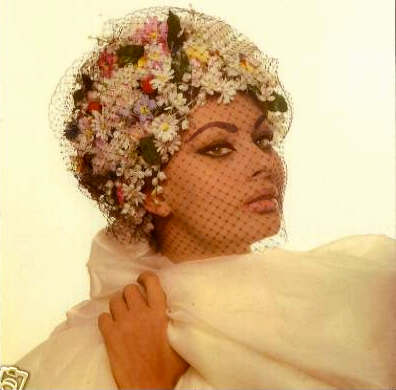 Sophia Loren