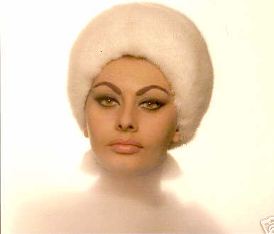 Sophia Loren