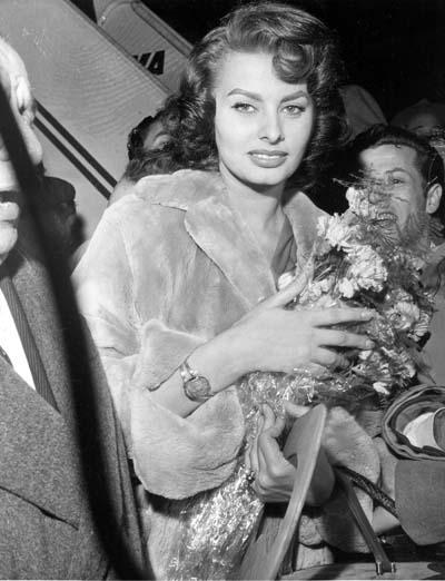 Sophia Loren