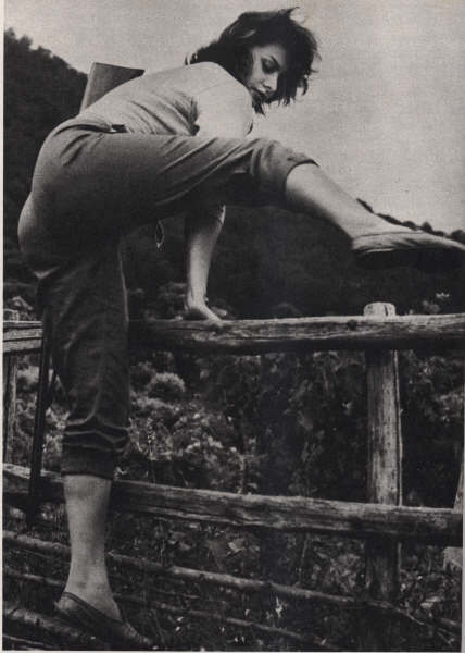 Sophia Loren