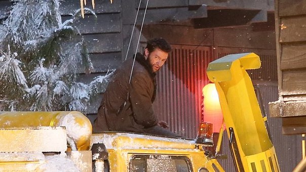 The Wolverine