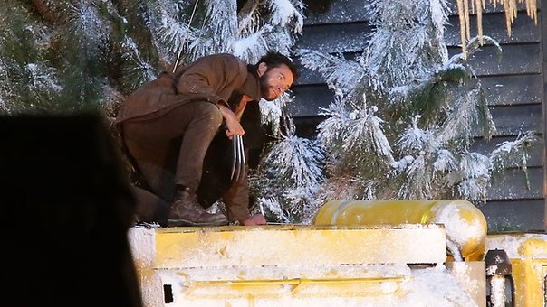 The Wolverine