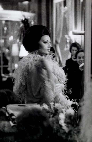 Sophia Loren