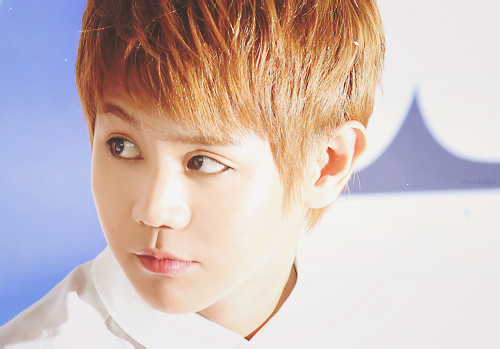 Yang Yo Seob