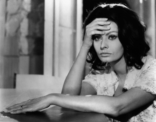 Sophia Loren