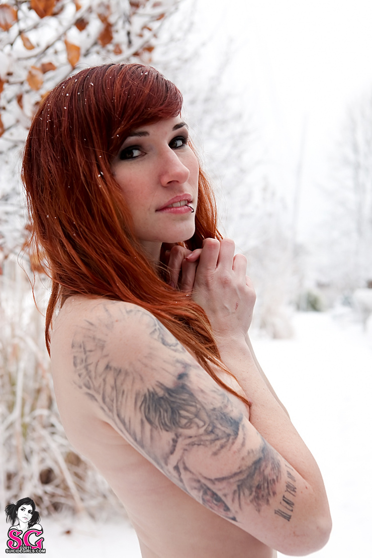 Rogue Suicide Rogue Suicide
