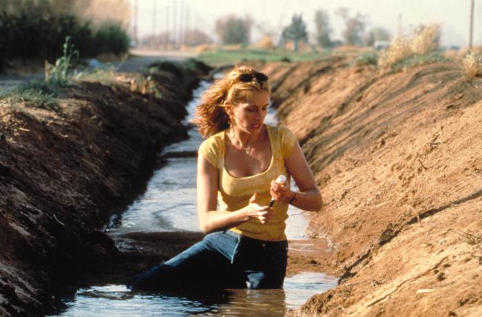 Erin Brockovich Erin Brockovich