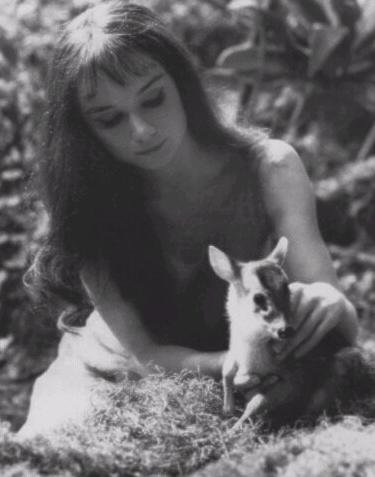 Audrey Hepburn