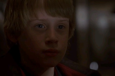 The Good Son