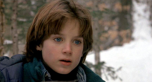 The Good Son