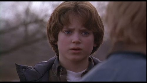 The Good Son