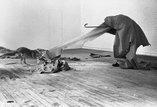 Joseph Beuys Joseph Beuys