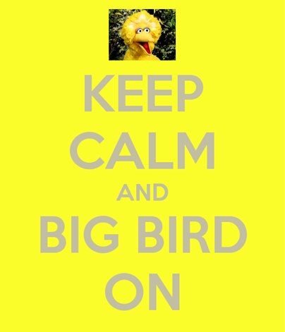 Big Bird