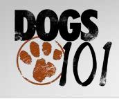 Dogs 101