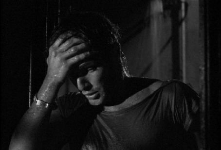A Streetcar Named Desire A Streetcar Named Desire